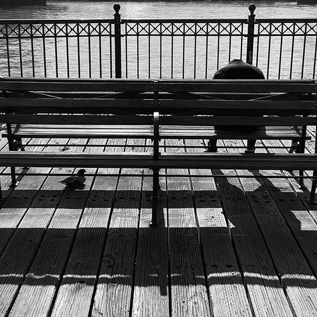 Friends ~ Foto © Antonio Dini