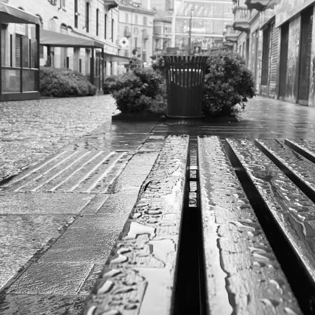 Piove sui giusti e sugli ingiusti ~ Foto © Antonio Dini