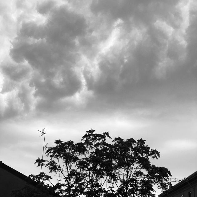 Mala tempora currunt... ~ Foto © Antonio Dini